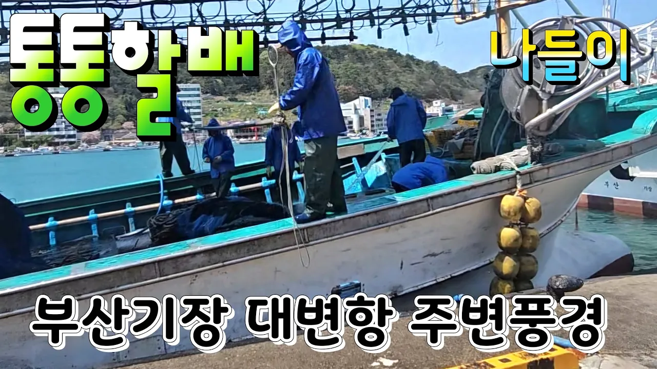 #부산기장대변항 #주변풍경#가볼만한곳 サムネイル