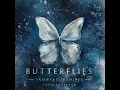 Download Lagu butterflies piano sonata