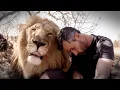 Download Lagu Emotionele laatste video voor FIGHTER LION | The Lion Whisperer