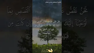 تلاوة رائعة  للشيخ مصطفي مجدي رمضان وما تيسر من سورة  يوسف  دندنها