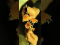 19970821 堂島孝平 忘れないでいるから