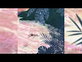 Attom - Anemoia