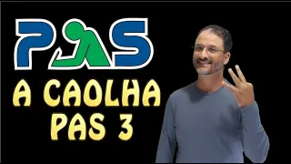 OBRA ANTIGA DO PAS 3 - A Caolha de Júlia Lopes de Almeida - resumo, análise e comentários.
