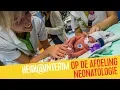 Lagu Heidi verzorgt premature baby'tjes op neonatologie | Heidi@Interim