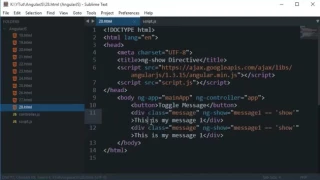 AngularJS Tutorial 28 ngShow Directive