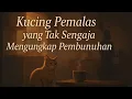Lagu “Kucing Pemalas yang Tak Sengaja Mengungkap Pembunuhan –Kisah Tentang Kebenaran dan Pengampunan”