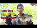Download Lagu Trik Jitu Pikat Burung Ciblek Gunung/Cigun Dijamin 100%Ampuh Anti Zonk