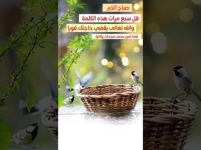 ⁣أتريد تفاؤل بالخير من الصبح قل سبع مرات هذه الكلمة والله يفتح لك أبواب الخير وقضاء الحاجات من الصبح