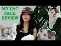Let me introduce you my beloved cats 3 Vlog