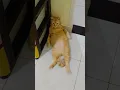 Woi lagi santai kawan!🤣🤣🤣