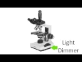 How to Identify Parts on a Compound Microscope