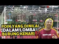 Lagu 4 POIN YG DINILAI DI LOMBA BURUNG KENARI‼️PEMULA WAJIB TAU