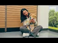 Suplementos para mascotas en Petco