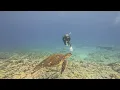Hawaii Big Island Diving 2025 - Kona Coast