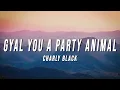 Download Lagu Charly Black - Gyal You A Party Animal (Lyrics)