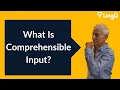 What Is Comprehensible Input