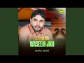 Download Lagu Salonk Me Waseem Jane
