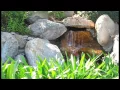 Tyler Springs Senior Housing in Riverside CA - After55 com