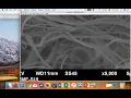 Tutorial ImageJ 2