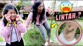 Download DIGIGIT LINTAH DI SAWAH !! SAKIT BANGET !! Vlog \u0026 Drama Lucu | CnX Adventurers MP3