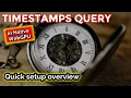 NVL Native WebGPU Tutorial - Setting up and using Timestamps queries