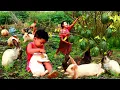 Download Lagu Wild Women - baby boy Mother find pick Watermelon Catch the rabbit - cooking fish for dog