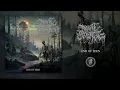 Download Lagu PRIMAL SCOURGE (US) - END OF EDEN (Album) - Iron Fortress Records 2025
