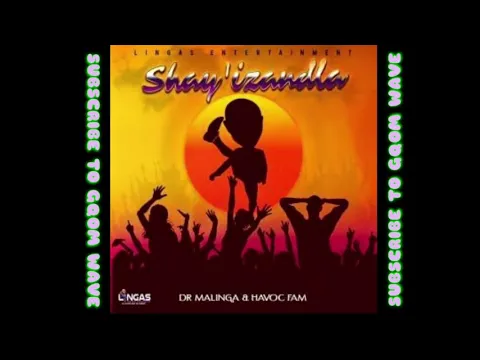 Download MP3 Dr Malinga ft. Havoc Fam - Shay'izandla