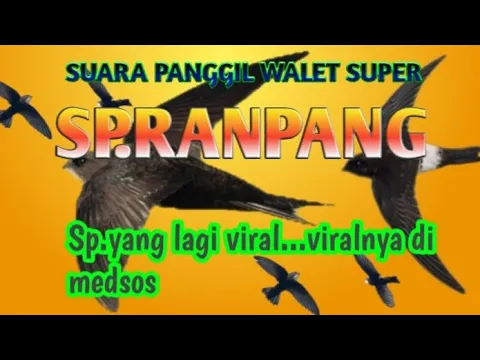 Download MP3 SP.RANPANG_suara panggil walet yang lagi virall
