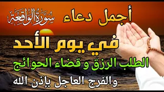 قراءة مؤثرة  دورة واحدة قد تجلب لك الثروة قراءة مؤثرة  دورة واحدة قد تجلب لك الثروة دندنها