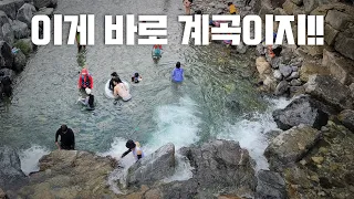 성환식당 오징어 물회 먹고 지장산 담터계곡 입수! 1급수 계곡의 수질이란? 썸네일