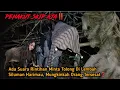 Download Lagu Live Misteri‼️Misi Besar Dari Si Cemplis, Ada Makhluk Aneh Menyeramkan Di Lembah Siluman Harimau