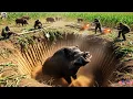 Download Lagu How Texas Farmer Take Down Hundreds Invasive Wild Hogs That Are Destroying Their Ranches Every Day?