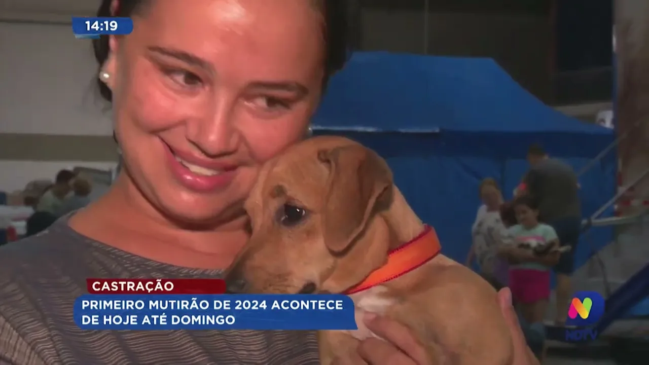 Primeiro mutirão de castração de 2024 acontece até domingo em Blumenau