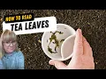 HOW TO READ TEA LEAVES using my nans method