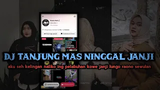 dj aku seh kelingan naliko ing pelabuhan tanjung mas ninggal janji viral tiktok adi as rmx