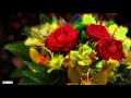 Lagu Nicolas de Angelis - Implora (Wonderful Flute Relaxing  Music)
