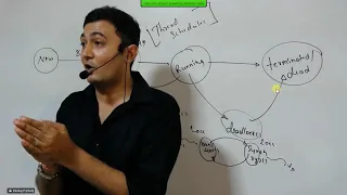 Pankaj Sir Academy Core Java Session 48