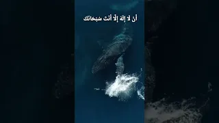 فنادى الظلمات سبحانك القوة البحر الصوت الهائل الازرق الماء اجمل حالات الواتس 