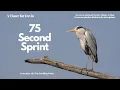 Devin s 75 Second Timer SILENT Timer for Productivity Writing Studying or Focus