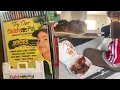 Dumb Dummer - Reviews The Dutch Pot Jamaican Restaurant