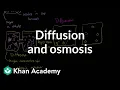 Diffusion and osmosis Membranes and transport Biology Khan Academy