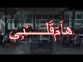 Download Lagu HAM QALBI | MUHIBBUS SHOLAWAT AUDIO FULL HIGH QUALITY
