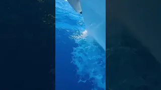 Mediterranean dreams in motion 🤩⛵️🌞🌊🌴🐈‍⬛️ #sailing #liveaboard #offgrid #freedom #boating #boat