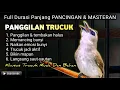 Lagu TRUCUKAN GACOR MEMANGGIL || pancingan, masteran terbaik untuk trucuk dan burung lainya