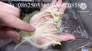 máy thái sợi  đu đủ - thái lát  bắc cải tín 0396208583-0862505363