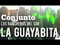 Download Lagu La Guayabita Video Del Amigo Jay Adictos Al Baile Con Musica De Los Rancheros Del Sur Conjunto