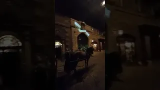                     دندنها