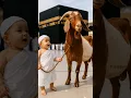 Download Lagu 2-Year-Old Baby boy with bakra Recites ‘Labbaik’ at the Kaaba – Cutest Hajj Moment Ever! #hajj