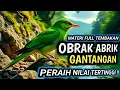 Download Lagu MASTERAN FULL TEMBAKAN PALING GANAS!!!  TERAPI UNTUK SEMUA JENIS BURUNG, SUARA GEMRICIK AIR